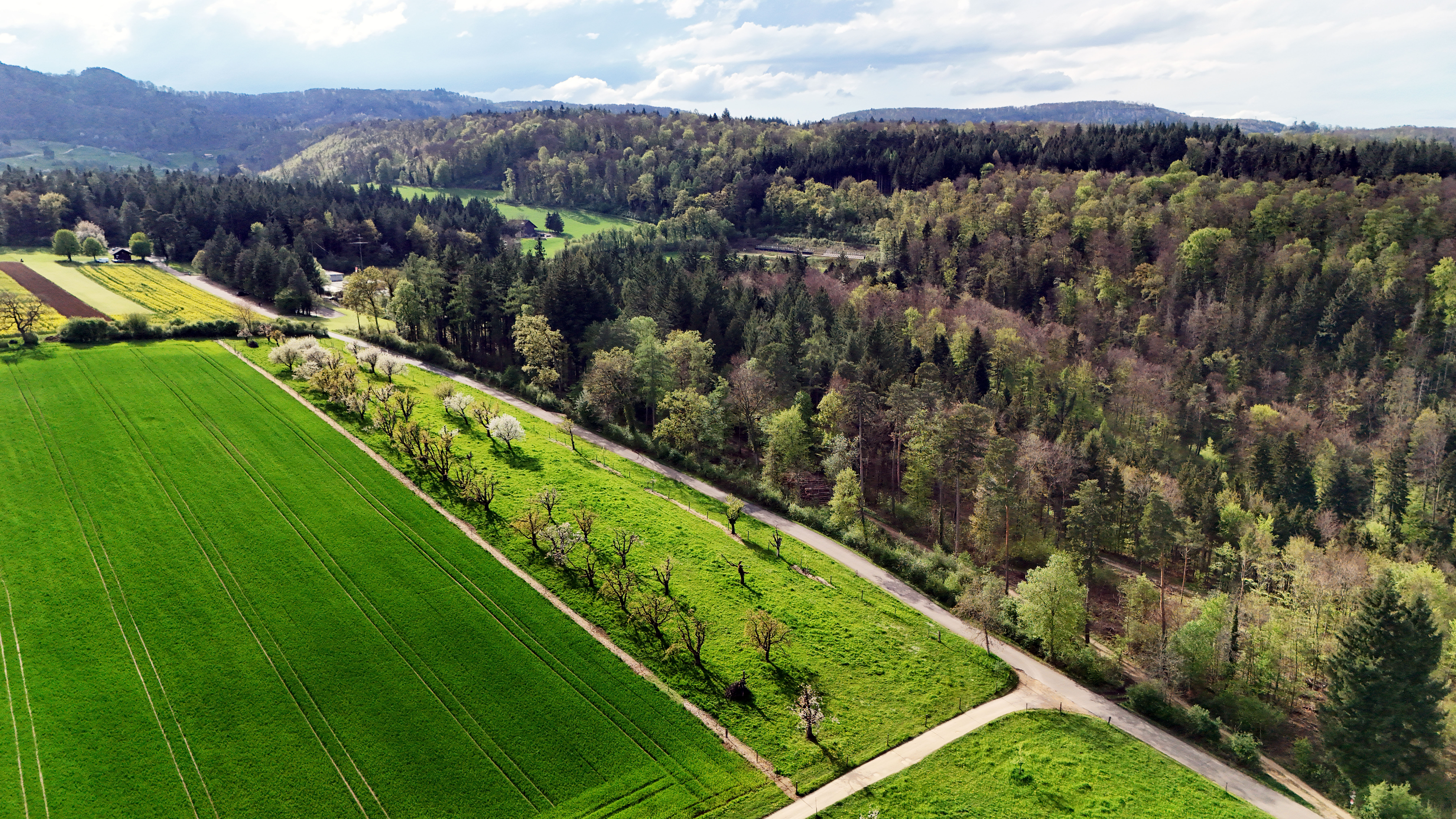 Naherholungsgebiet