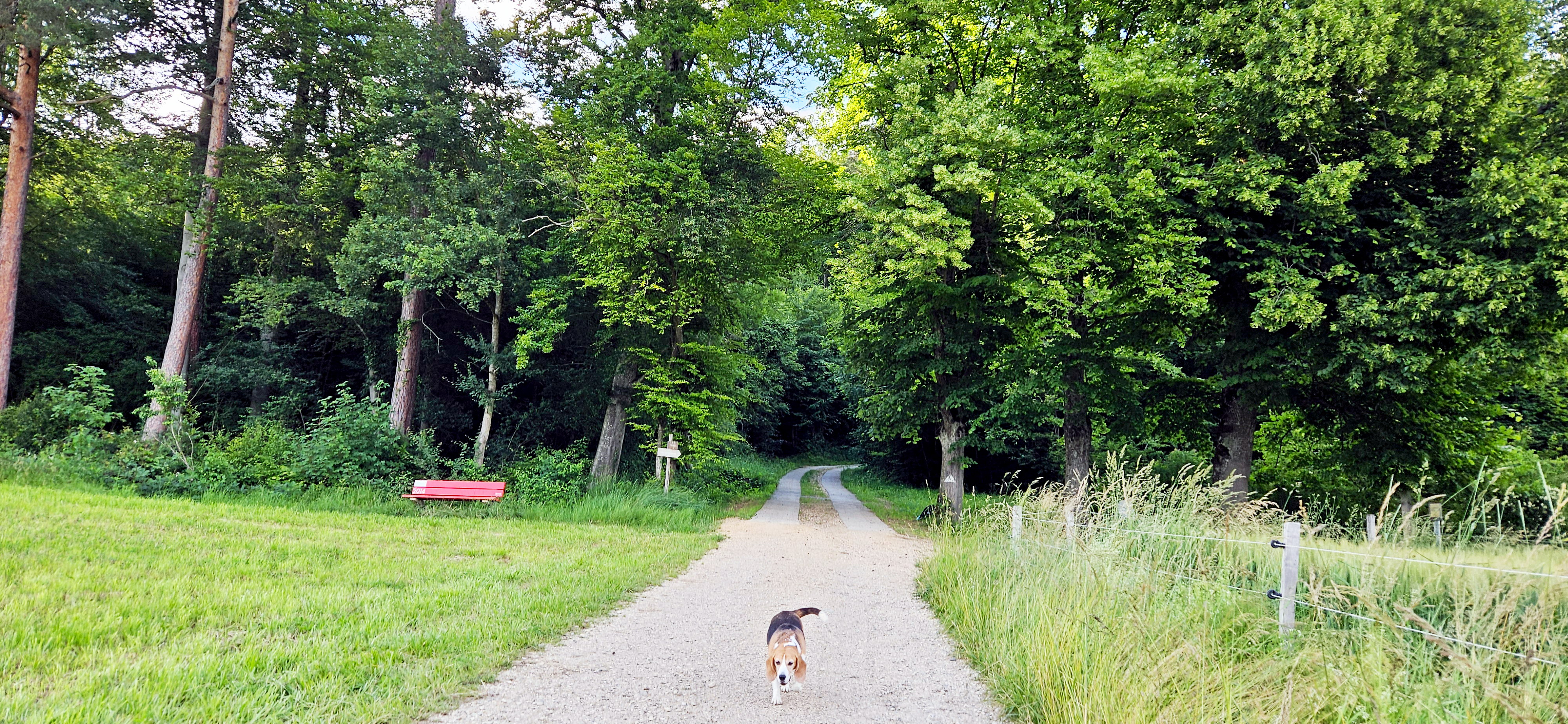 Naherholungsgebiet
